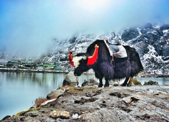 tsomgo-lake-sikkim-india-2021-09-04-06-40-06-utc