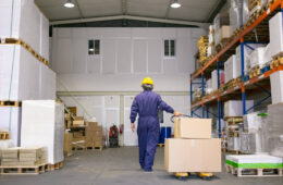 senior-logistic-worker-hardhat-uniform-walking-warehouse-wheeling-palette-jack-back-view-full-length-labor-logistics-concept(1)